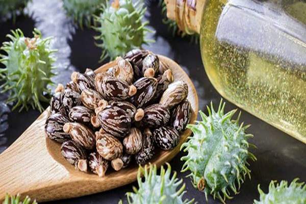 ۱۰ کاربرد عجیب روغن کرچک که شما را غافلگیر میکند!