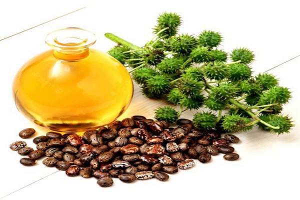 روغن کرچک برای لاغری