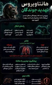 هانتا ویروس